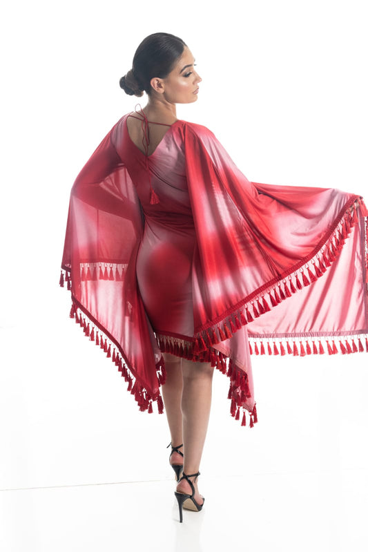 Scarlet Flame Fringe Dress
