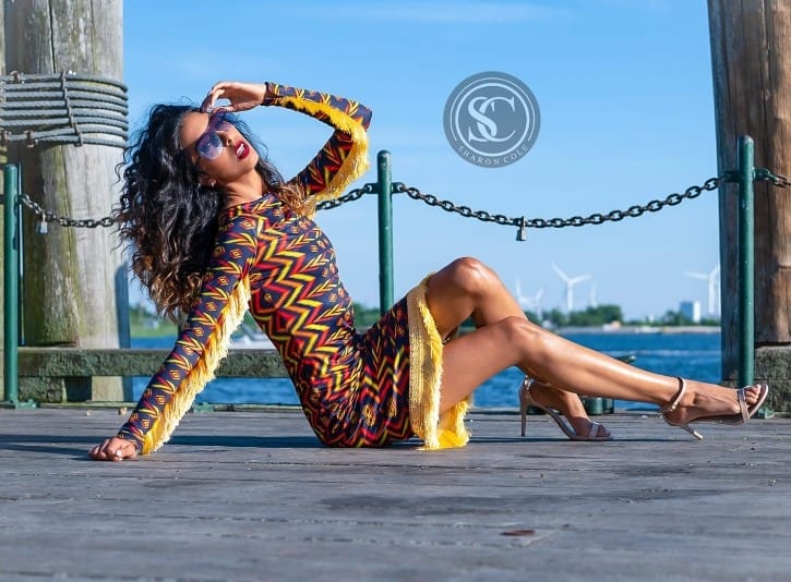 Ethnic Print Dress (3 options) image 5