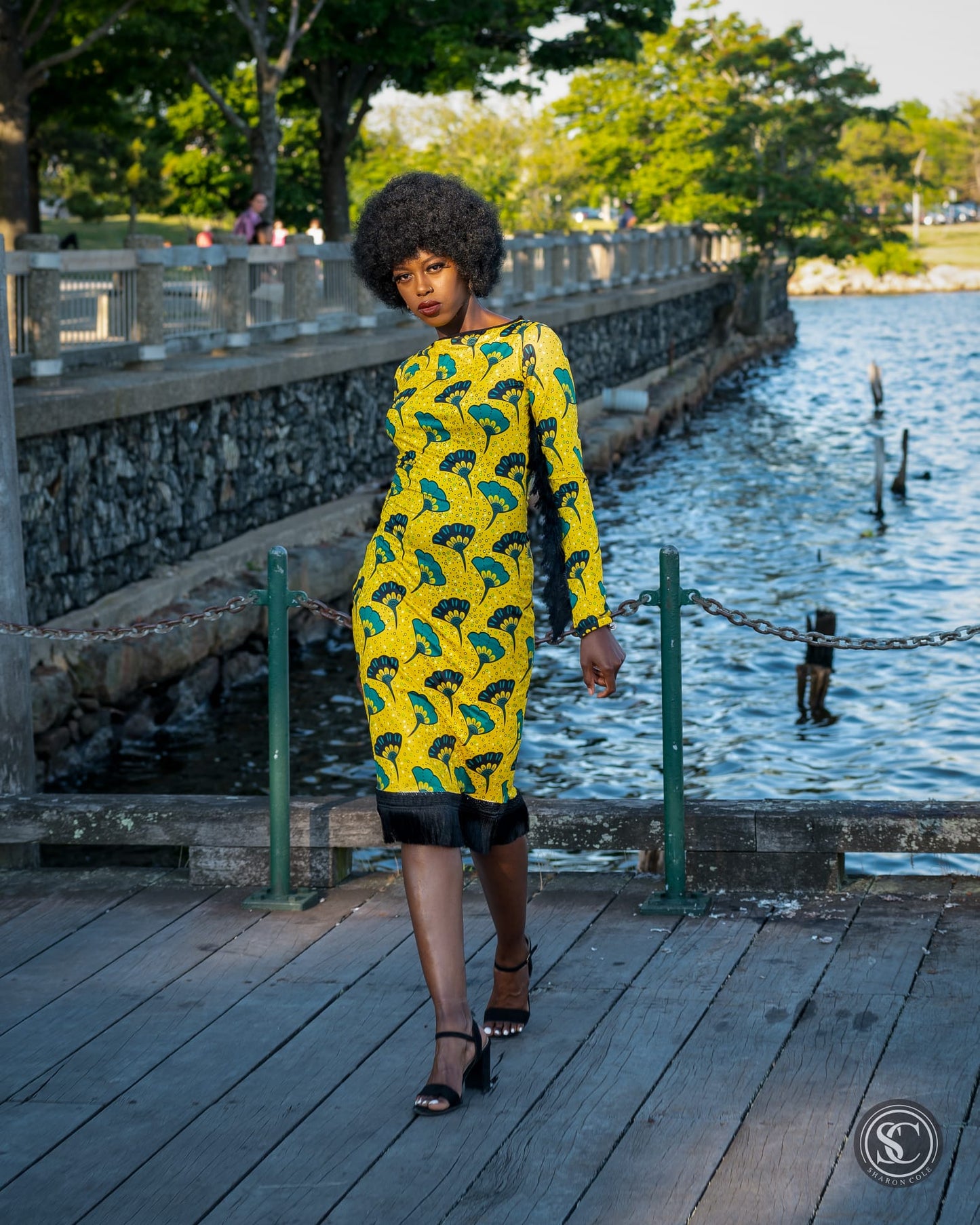 Ethnic Print Dress (3 options) image 6