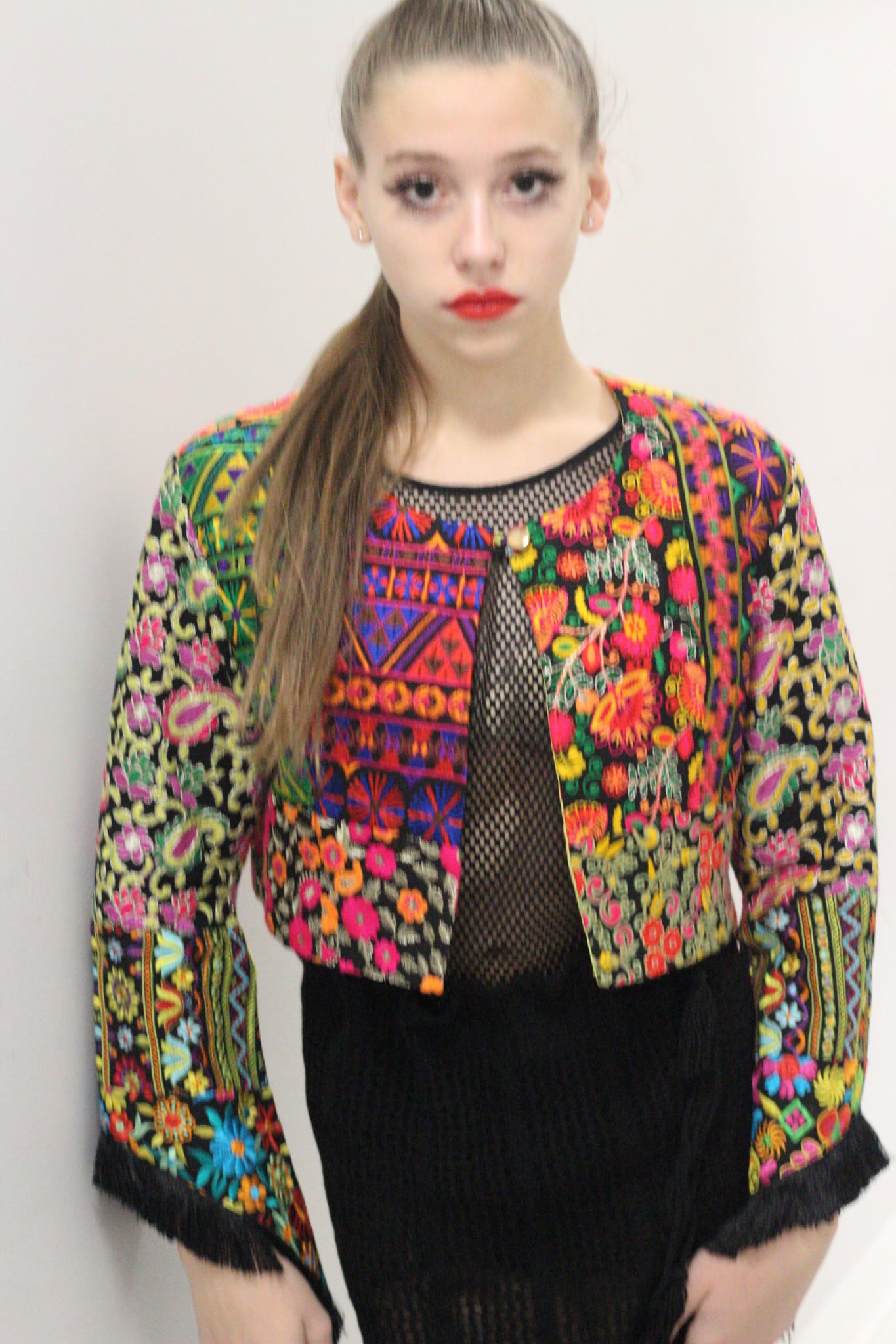 Embroidery Cropped Jacket image 2