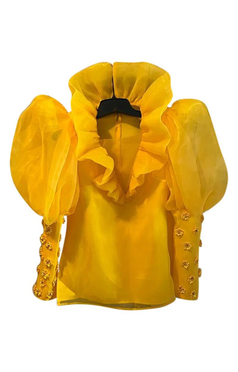 Modesty Blouse image 4